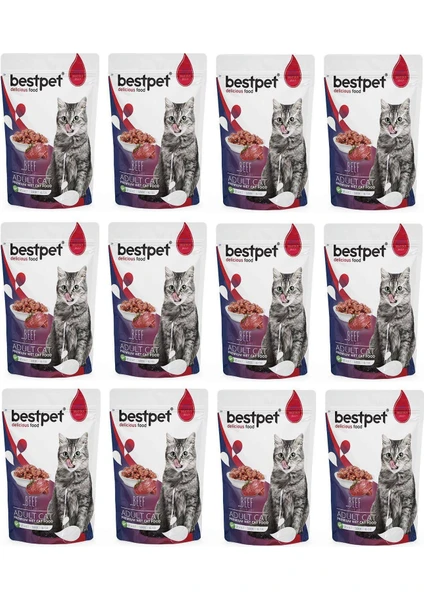 Adult Cat Beef Jöle Içinde Biftekli Yaş Mama 85 gr x 12