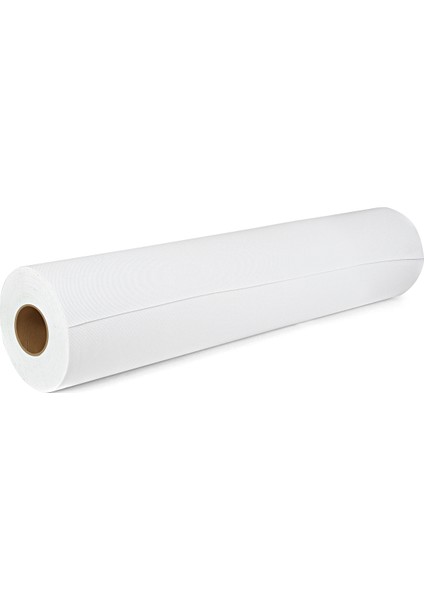 Canvas WP-280 61x30 mt Polyester Matte