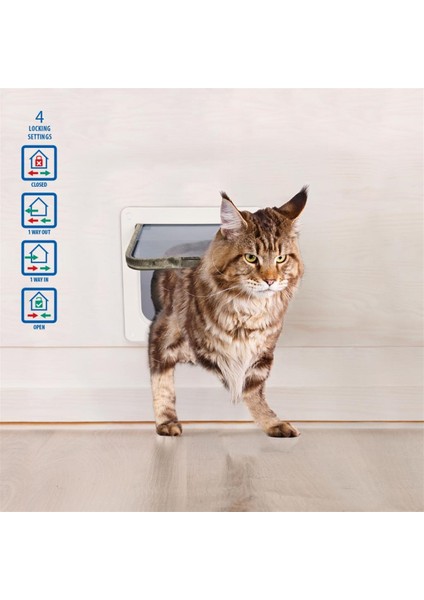 Large Cat Door Kedi Kapısı modelleri
