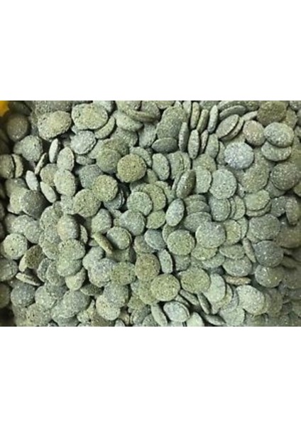 Novo Pleco Vatoz İçin Tablet Yem 1000 Gram modelleri