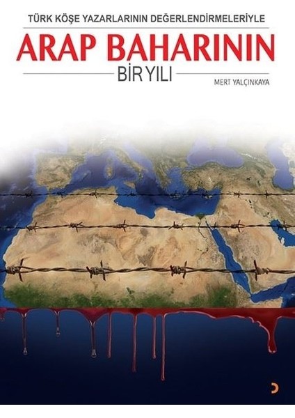 Türk Köşe Yazarlarının Değerlendirmeleriyle Arap Baharının Bir Yılı - Mert Yalçınkaya