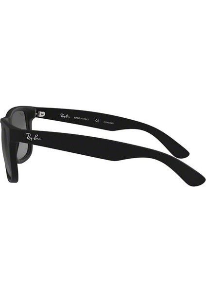 Justın (RB4165 - 622/T3) Unisex Güneş Gözlüğü