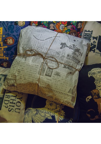 Wizarding World Yastık Model : Harry Potter Wanted