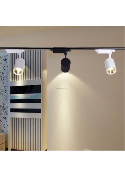30W Led Ray Spot Armatür Ct-5333 Günışığı