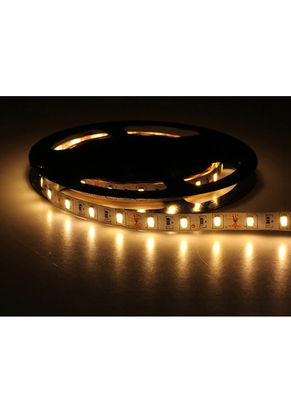 Ct-4537 Led Şerit 5630 Gold Şerit Led Günışığı Renk 5Mt