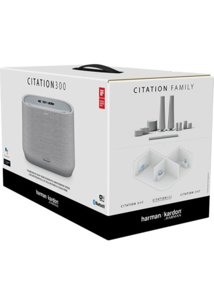 Harman Kardon Citation 300 Multiroom Bluetooth Hoparlör – Gri