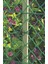 Intermas 170629 FLORANET Yeşil 40 cm x 25 m 23x23 mm UV Filtreli Yüksek Dayanıklı Plastik Çevirme Çiti (HDPE) 3