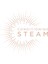 Steam Straight Buharlı Saç Düzleştirici - St492E 8