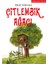 Çitlembik Ağacı 1