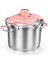 Flora 6 lt Pembe Düdüklü Tencere 2
