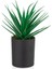 Siyah Cam Saksıda Yapay Yeşil Kaktüs Aloevera 1