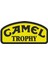 Camel Trophy Sticker - 22007 Renkli 20 x 9 cm 1
