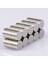 10'lu D10X2Mm Neodyum Mıknatıs 3