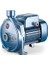 CPm 130 Tek Fanlı Santrafüj Pompa 220 Volt 1