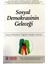 Sosyal Demokrasinin Geleceği 1