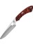 Buck Knife  (11707) 538 Open Season Small Game Yüzme Bıçağı 1