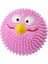 Rubber Lucky Bird Köpek Oyun Topu Pink 1