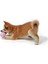 Tumble Toy Balu Kauçuk Köpek Oyuncağı Sarı 2