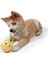Petit Chew Toy Milo Köpek Oyuncağı Mavi 2
