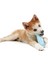 Petit Treat Toy Chico Köpek Ödül Oyuncağı Sarı 2