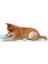 Water Chew Dondurulabilir Köpek Oyuncağı Pembe 2