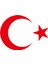 Türk Bayrağı Sticker - Hilal ile Yıldız Araç Etiketi - Çıkartma 30X20 cm 1
