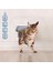 Large Cat Door Kedi Kapısı 3