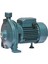 Robustech Cpm158 750W Elektrikli Su Pompası 1