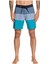 Highmassv17 Erkek Boardshort EQYBS04326-BNZ6 1