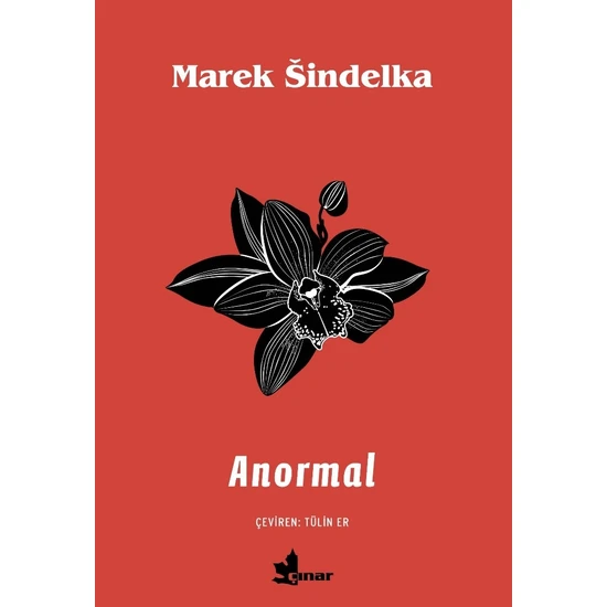 Anormal - Marek Sindelka