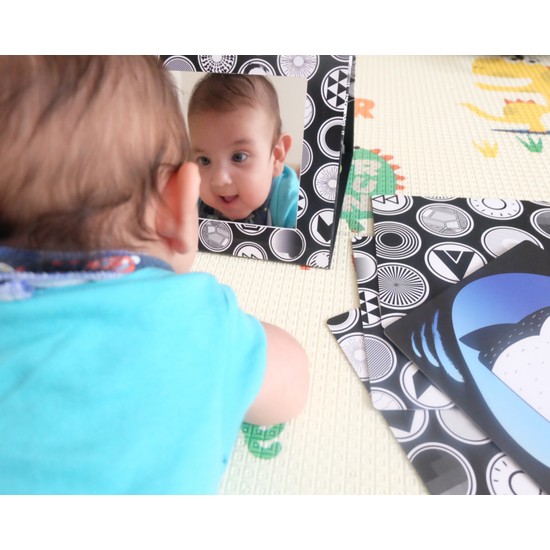 DoerKids Tummy Time Bebek Aynası ve Bebeğimin İlk Zeka Fiyatı