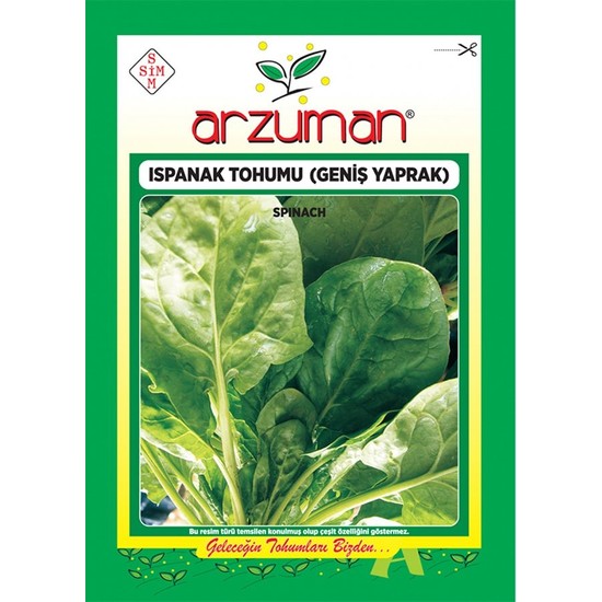 Mutbirlik Geniş Yapraklı Ispanak Tohumu-25 Gram