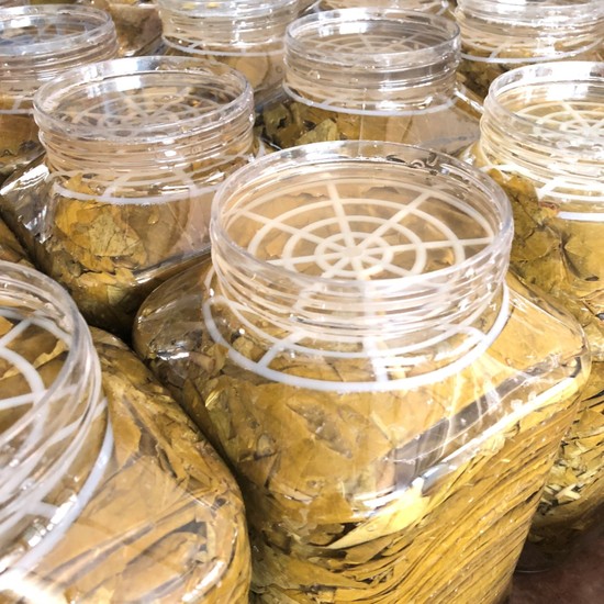 Sarıbahçe Yeni Sezon Tokat Yaprağı Ev Tipi 5 kg Fiyatı