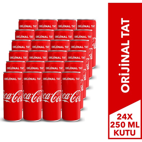 Coca-Cola 250 ml Kutu 24'lü Paket