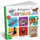 Diy-Toy İlk Kitaplarım Serisi Eğitici 6Lı Set
