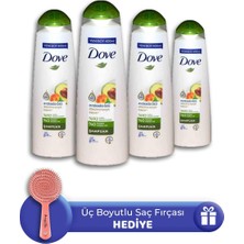 Dove Şampuan Avokado Özü 400 ml 4 Adet, Saç Fırçası Hediye