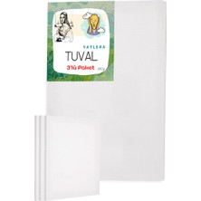 Yaylera Tuval Resim Tuvali T-001-3'LÜ 30 x 45 cm