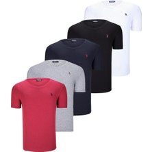 Dewberry Beşli Set T8568 Dewberry V Yaka Erkek T-Shırt-Siyah-Beyaz-Lacivert-Gri-Bordo