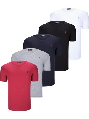 Dewberry Beşli Set T8568 Dewberry V Yaka Erkek T-Shırt-Siyah-Beyaz-Lacivert-Gri-Bordo