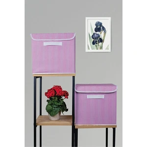 Prendi Home Pembe Çizgili Kapaklı Kutu