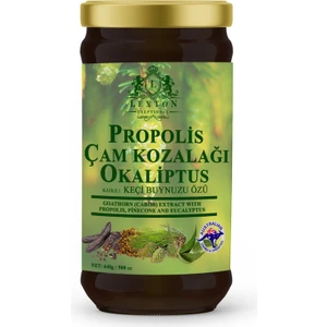 Propolis ve Çam Kozalağı Nane Aromalı Katkılı Keçiboynuzu Özü 640 gr