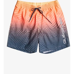 Warped Logo 17 M Jamv Erkek Volley Short EQYJV04000