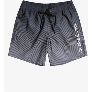 Warped Logo 17 M Jamv Erkek Volley Short EQYJV04000
