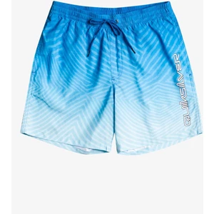 Warped Logo 17 M Jamv Erkek Volley Short EQYJV04000