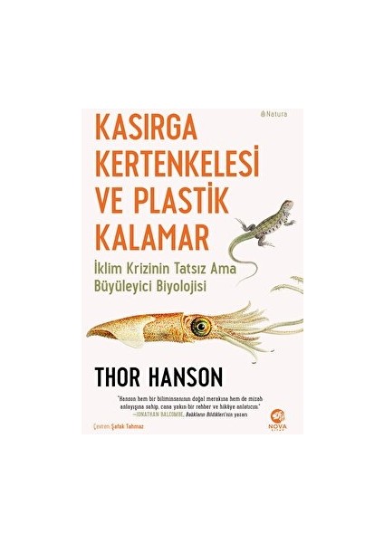 Kasırga Kertenkelesi ve Plastik Kalamar