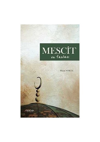 Mescit ve Fazlası