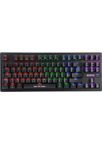 KG901TR Wired Jixian Blue Switch TKL Rainbow Full Mekanik Profesyonel Gaming Klavye