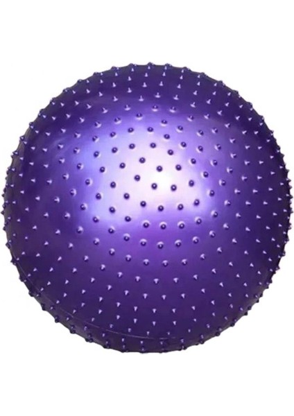Dikenli Yoga Pilates Aeorobik Jimnastik Topu 65 cm Mor fiyatları