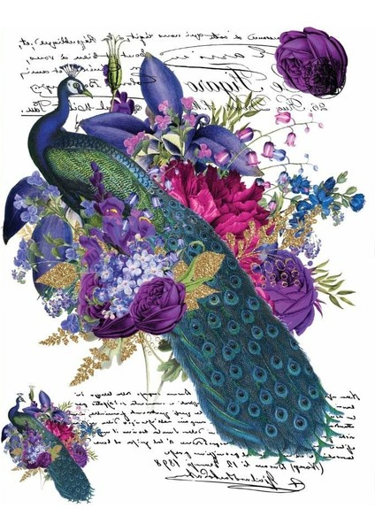 Rub On Transfer Rb Lnt-01 35X50 cm