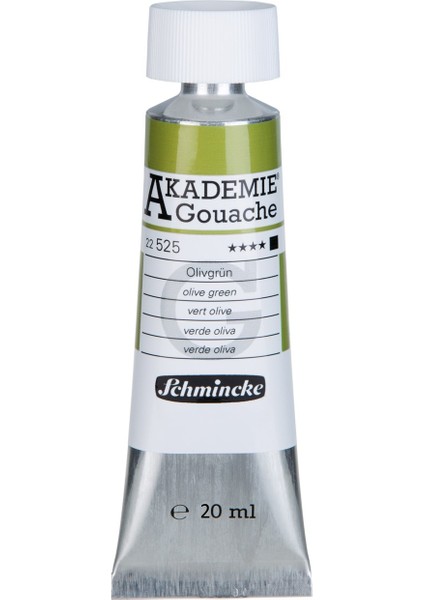 Akademie Guaj Boya 20ML 525 Olive Green